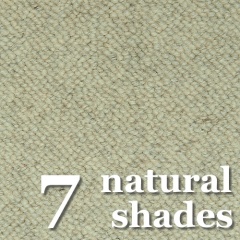 7-shades