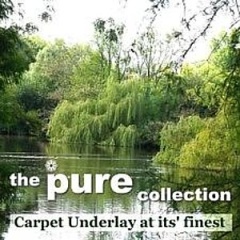 pure-underlay-category