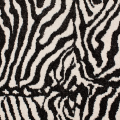 zebra_286558700