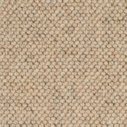 causeway-carpets-nature-core-seashell