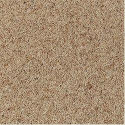 chamois_1043242593_292226361