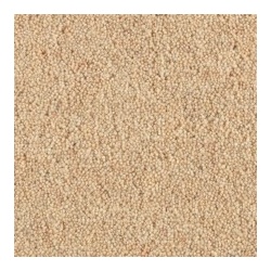 cocklshell_1358405869