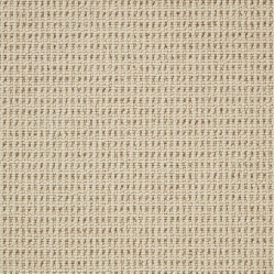 cormar-carpets-pimlico_palm-beach