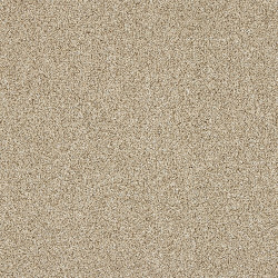 knightsbridge-creamed-ash