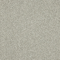 knightsbridge-fossil