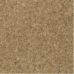 marigold_277460987_1170022494