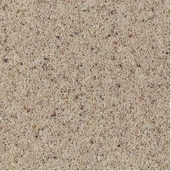 morning_dew_1535743606_893488069