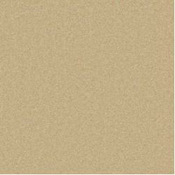 pembroke_camel_overhead