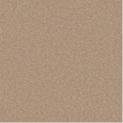 pembroke_hickory_overhead