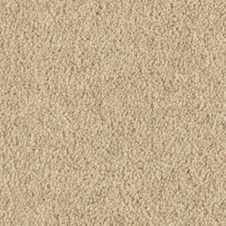 products_739_barrow_0