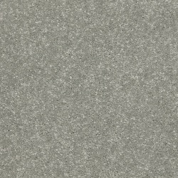 riva_dolphin_overhead