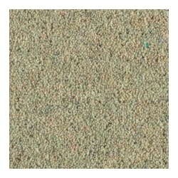 spearmint
