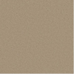 toasted_almond_11131338