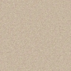 tortoise-shell