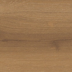 wild-oak-autumn-leaf