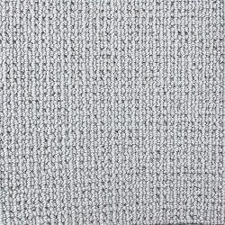 xsilversage104bloom